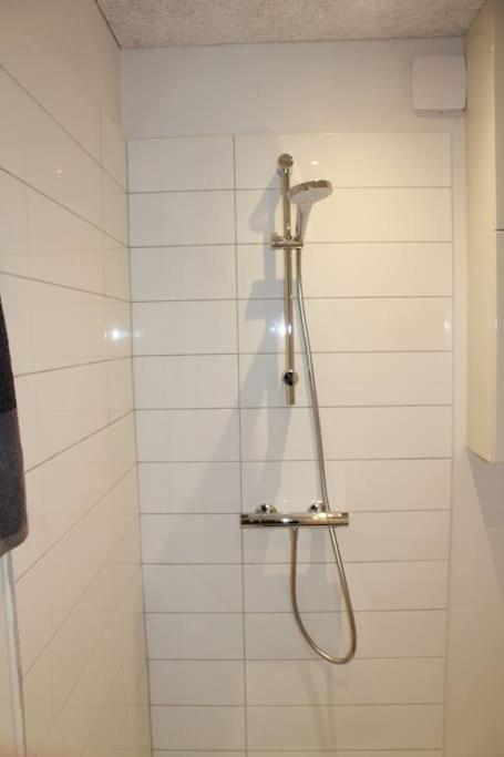 Anneks Med Eget Toilet Og Bad - Gratis Parkering Apartment Horsens Exterior photo